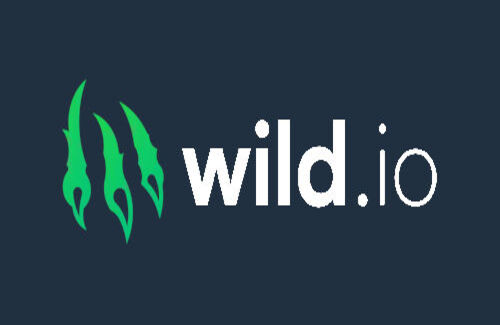 Wild Casino